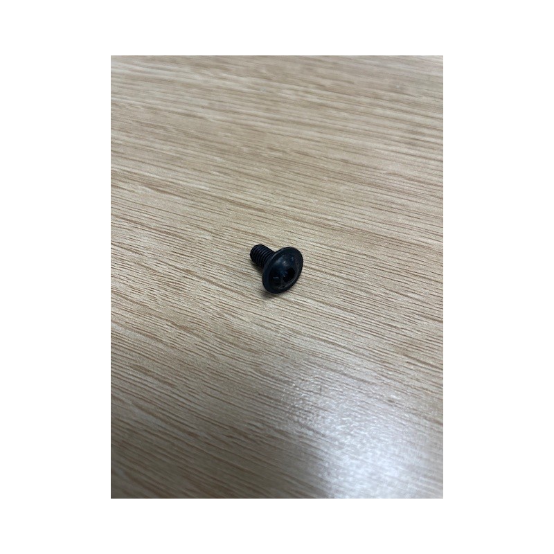 Cargol Trl M5X10 Pozie Zn Negre per a fixació de vidre Godin 00001305476